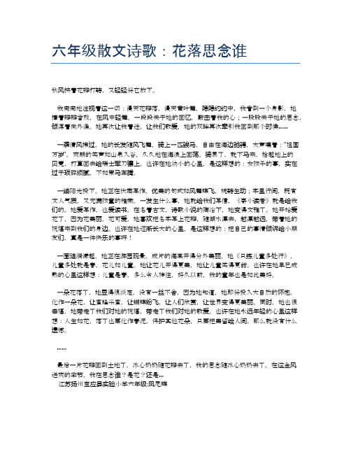 六年级散文诗歌:花落思念谁
