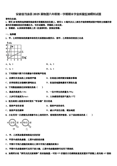 安徽省当涂县2025届物理八年级第一学期期末学业质量监测模拟试题含解析