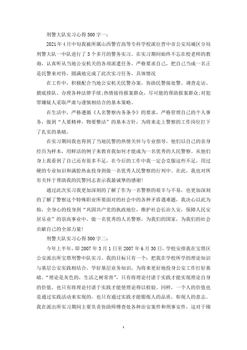 最新刑警大队实习心得500字3篇