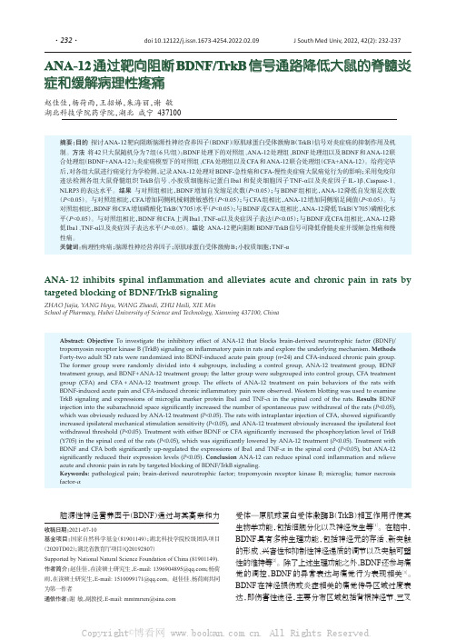 ANA-12通过靶向阻断BDNFTrkB信号通路降低大鼠的脊髓炎症和缓解病理性疼痛