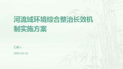 河流域环境综合整治长效机制实施方案