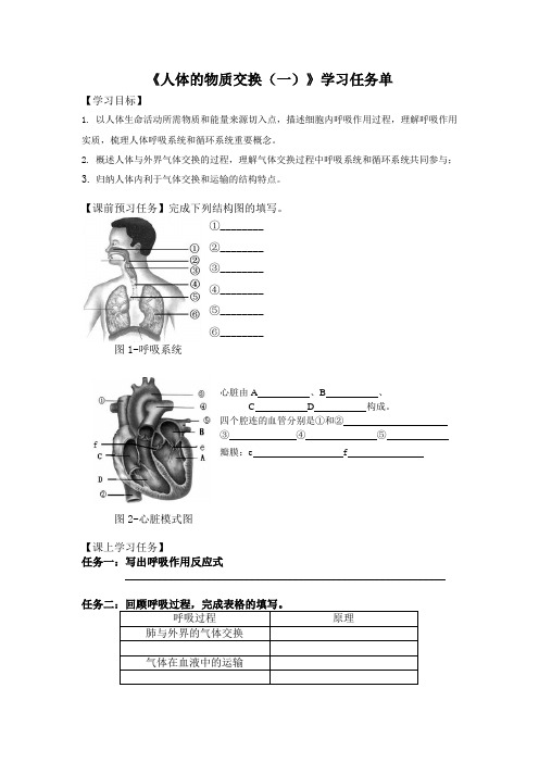 初二生物学(北京版)-专题四生物圈中的人-人体的物质交换(一)-3学习任务单