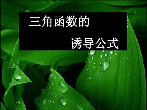 高一数学：三角函数的诱导公式经典课件