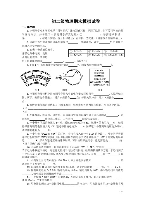 安徽省2008—2009学年八年级上学期期末模拟物理试卷