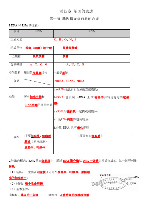 第4章 基因的表达-高一生物单元必背知识清单(记忆版)