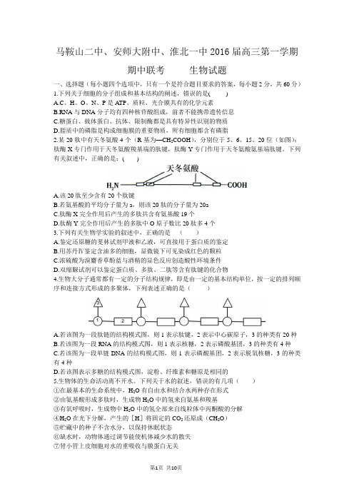 2016届安徽省马鞍山二中安师大附中淮北一中高三上学期期中联考试题 生物