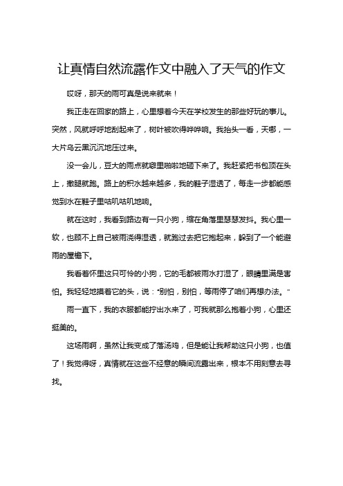 让真情自然流露作文中融入了天气的作文