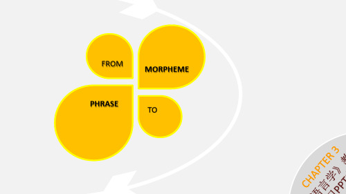 大学英语语言学 Chapter 3-From Morpheme to Phrase