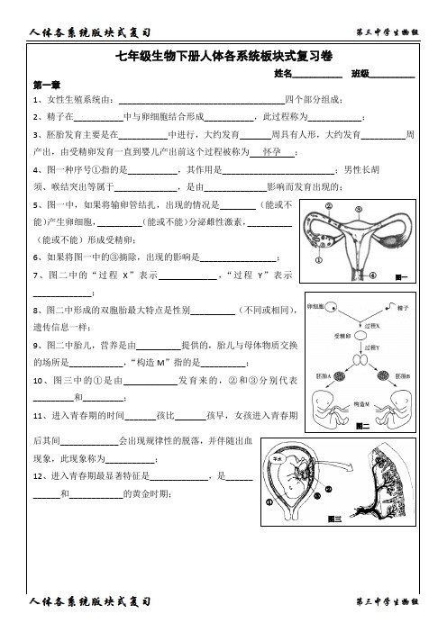 人教版七年级下册人体各系统版块式复习