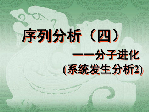 序列分析四一一分子进化系统发生分析-62页PPT文档资料