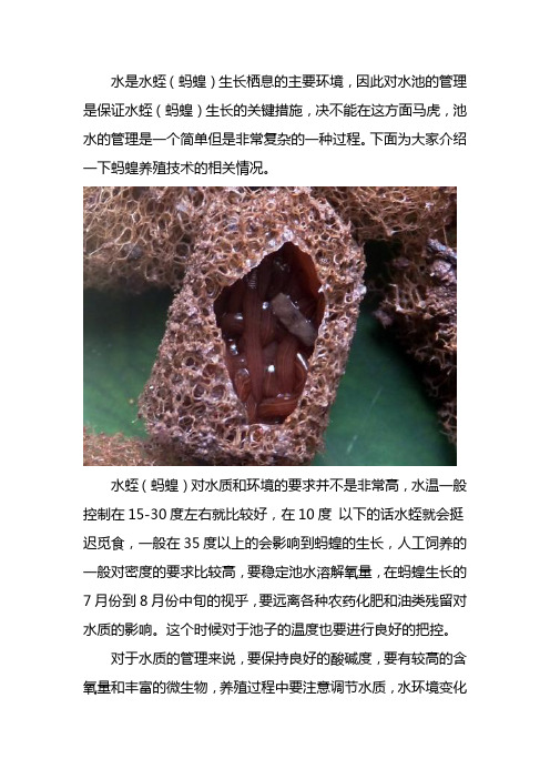 蚂蝗养殖技术