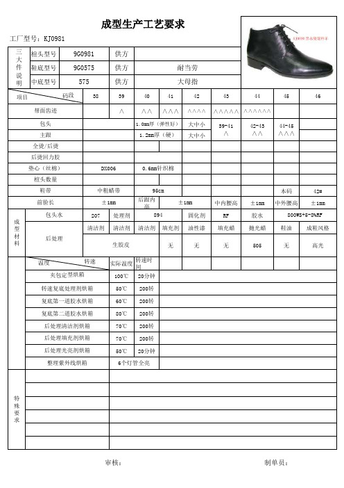 鞋子生产工艺单xls