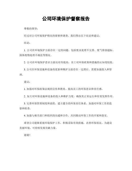 公司环境保护督察报告