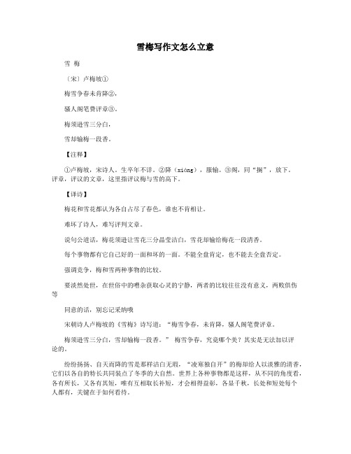 雪梅写作文怎么立意