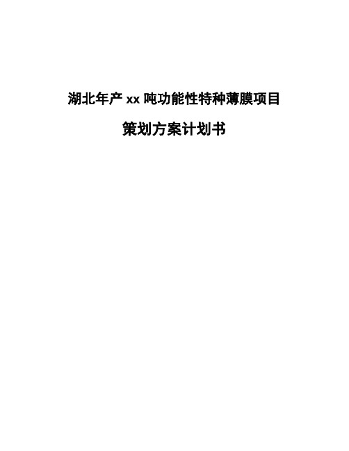 湖北年产xx吨功能性特种薄膜项目策划方案计划书