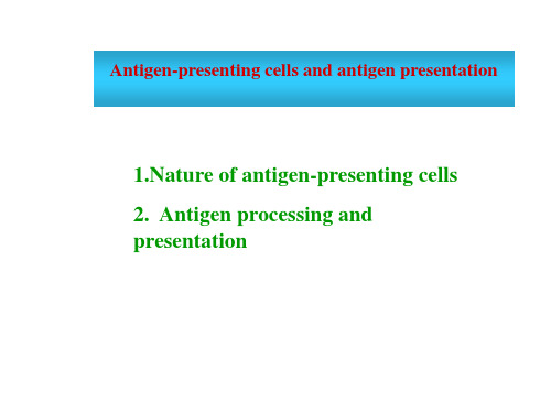 APC及抗原递呈(英文)
