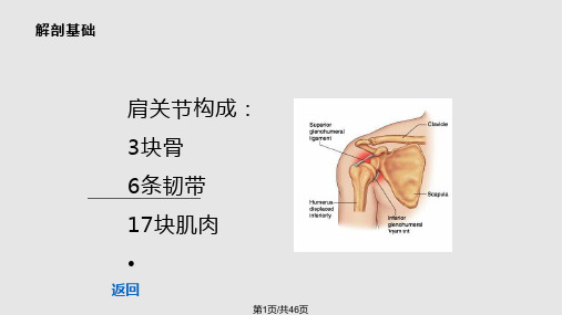 肩周炎的治疗PPT课件