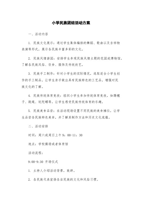 小学民族团结活动方案