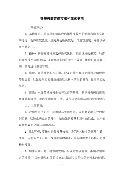 杨梅树的养殖方法和注意事项