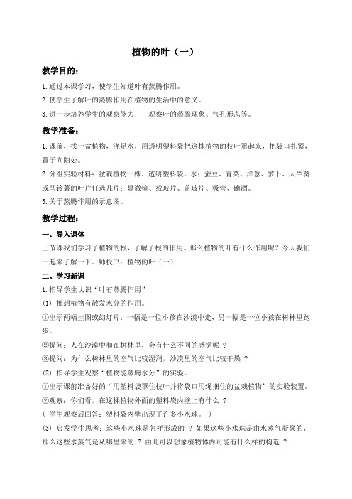 【青岛版】小学科学四年级上册《3植物的叶》教案 (1)
