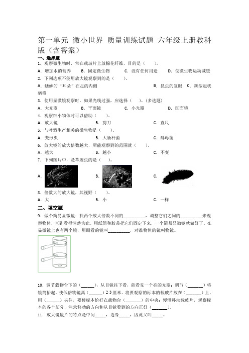 教科版科学六年级上册 第一单元微小世界单元测试卷(含答案)