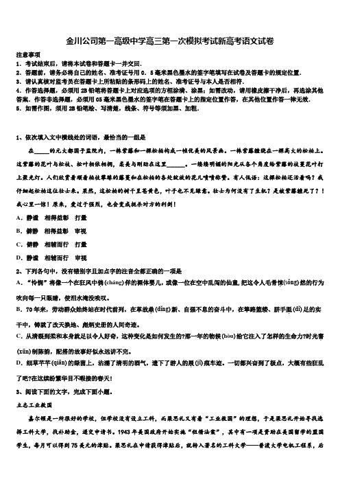 金川公司第一高级中学高三第一次模拟考试新高考语文试卷及答案解析