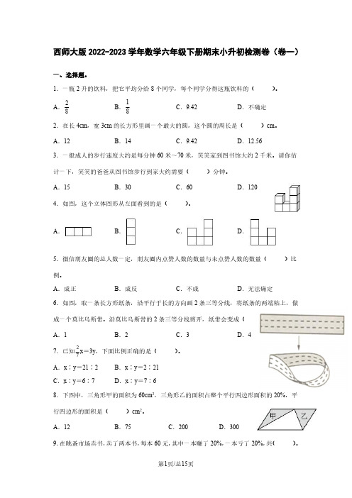 西师大版2022-2023学年数学六年级下册期末小升初检测卷(卷一)含解析