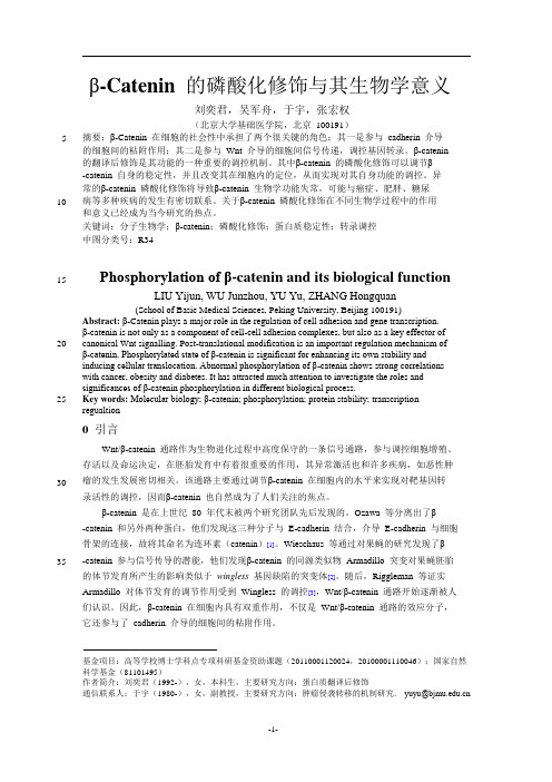 β-Catenin的磷酸化修饰与其生物学意义