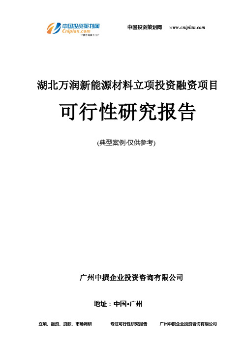 湖北万润新能源材料融资投资立项项目可行性研究报告(中撰咨询)