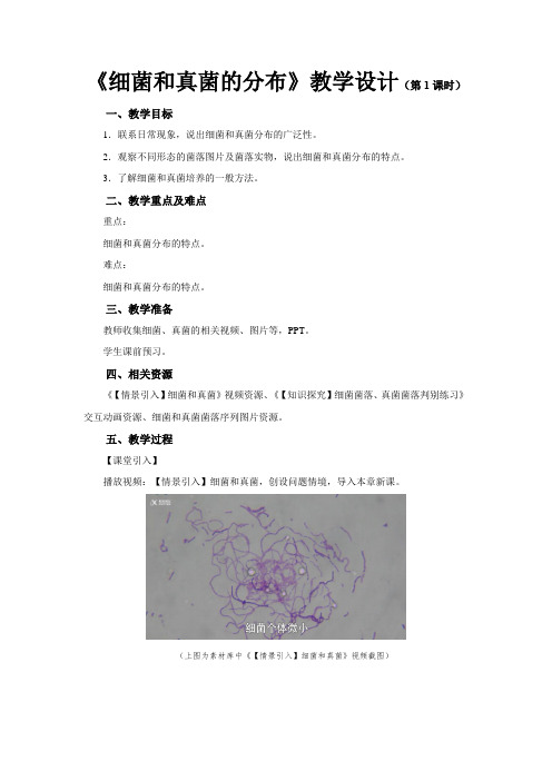 《第一节 细菌和真菌的分布 第1课时》示范课教学设计【初中生物人教版八年级上册】