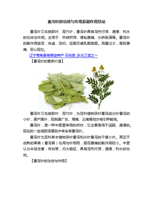 番泻叶的功效与作用及副作用禁忌