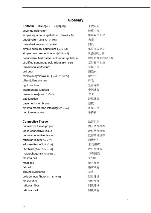 组织学与胚胎学_组培_英语词汇表_双语