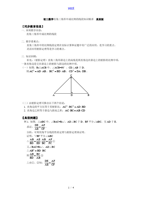 初三数学直角三角形中成比例的线段知识精讲 浙江版