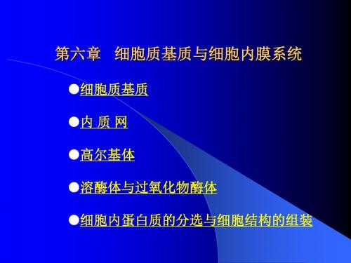 医学细胞生物学 第06章  基质与内膜