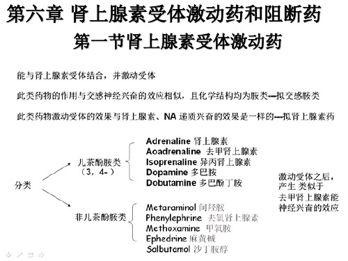 药理学实验第6章-2