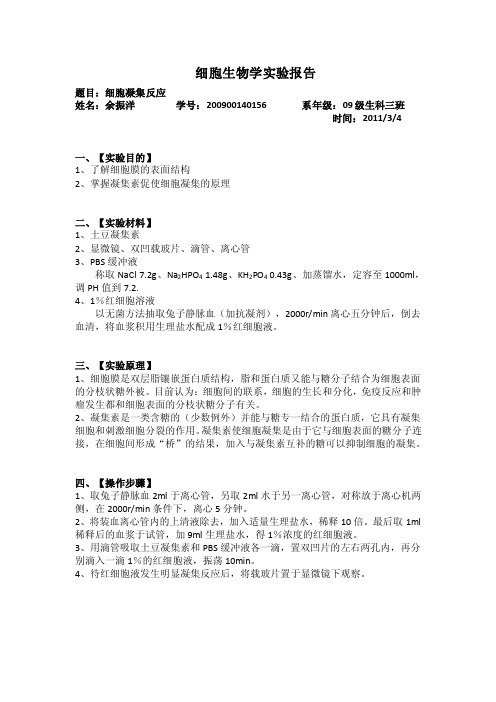 细胞凝集反应实验报告.doc