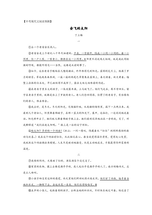 中考现代文阅读预测——丁立梅《会飞的太阳》