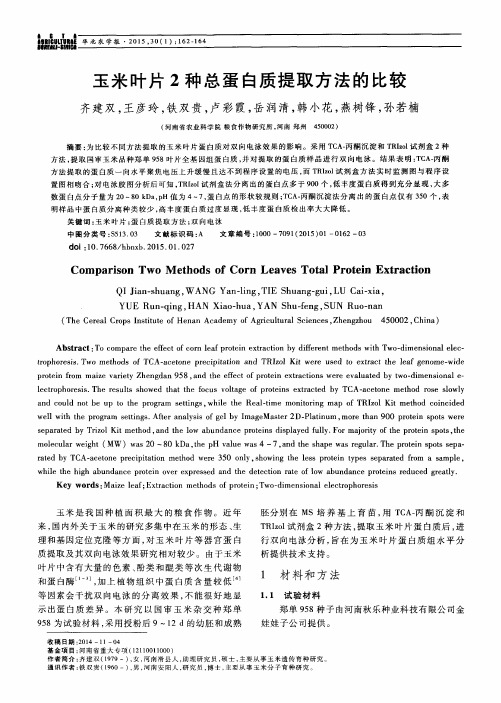 玉米叶片2种总蛋白质提取方法的比较