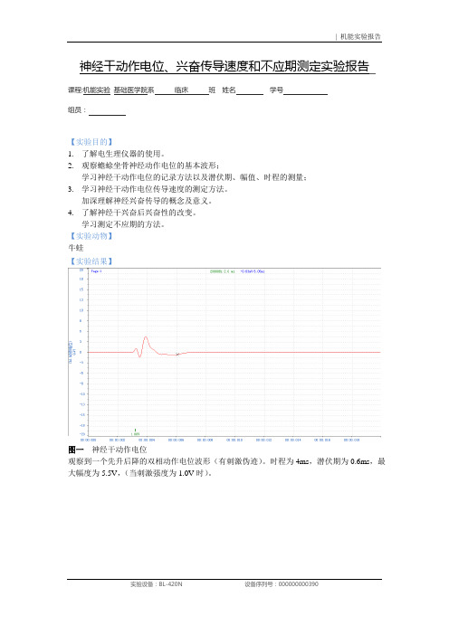 神经干动作电位、兴奋传导速度和不应期测定实验报告