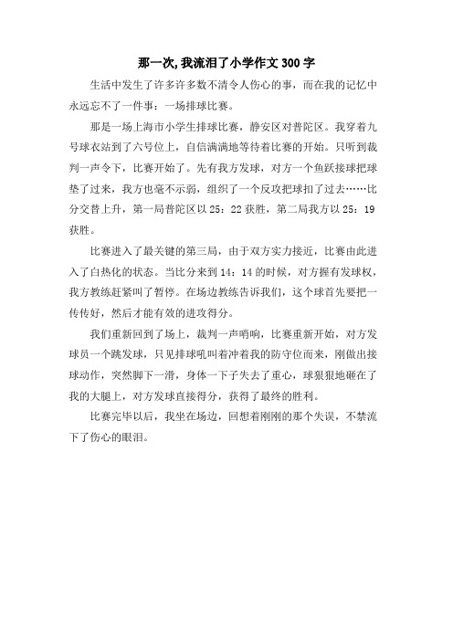 那一次,我流泪了小学作文300字