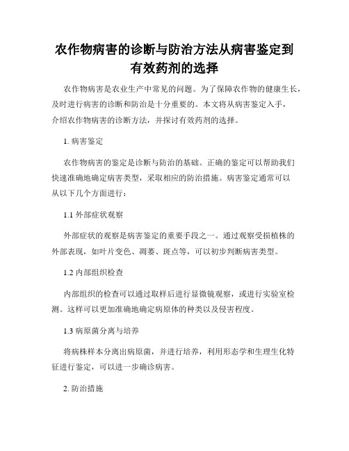 农作物病害的诊断与防治方法从病害鉴定到有效药剂的选择