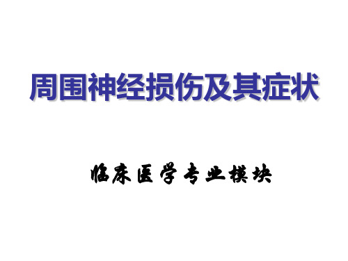 周围神经损伤病例讨论