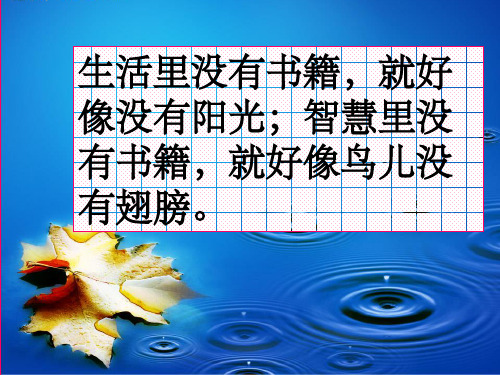 雾都孤儿.ppt