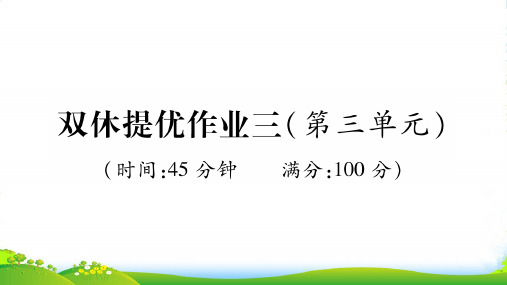 人教版九年级化学上册作业课件：双休提优作业三(第三单元)(共32张PPT)