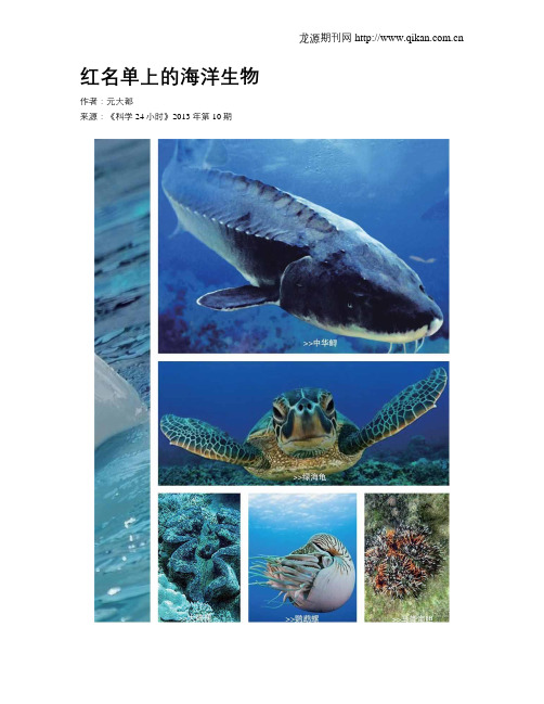 红名单上的海洋生物