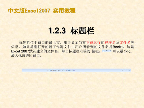 (计算机基础知识课件)Excel2007