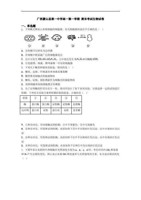 广西蒙山县第一中学高一第一学期 期末考试生物试卷