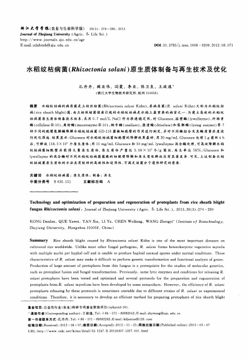 水稻纹枯病菌(Rhizoctoniasolani)原生质体制备与再生技术及优化