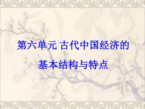 2018版高考历史一轮总复习第六单元古代中国经济的基本结构与特点第14讲古代中国的商业和经济政策课件