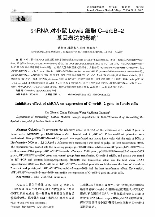 shRNA对小鼠Lewis细胞C-erbB-2基因表达的影响